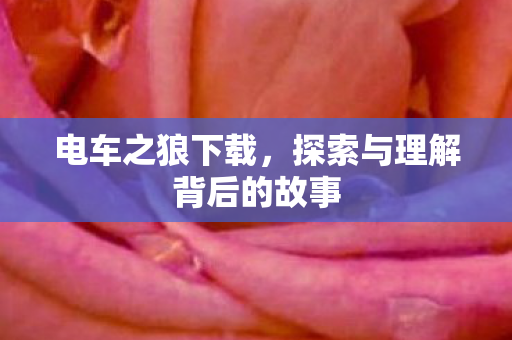 探索与理解背后的故事图片