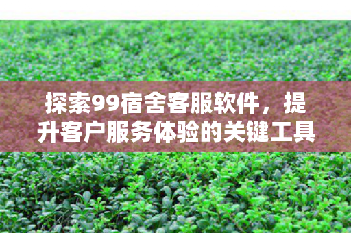 提升客户服务体验的关键工具图片