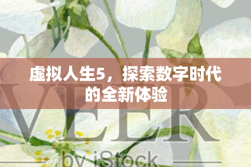 探索数字时代的全新体验图片