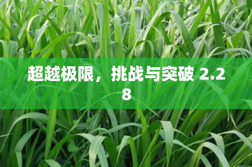 挑战与突破 2图片