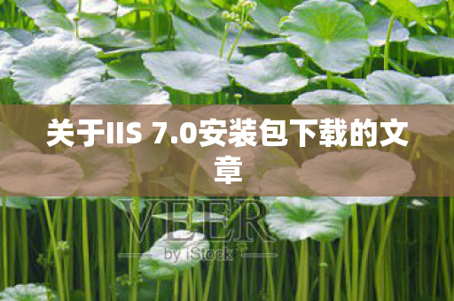0安装包下载的文章图片