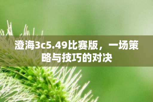 一场策略与技巧的对决图片