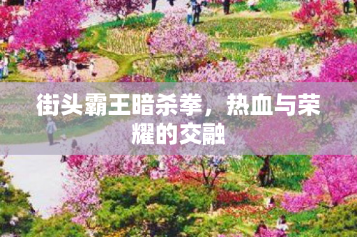 热血与荣耀的交融图片
