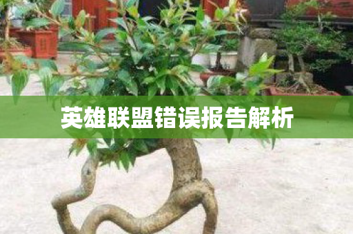 英雄联盟错误报告解析图片