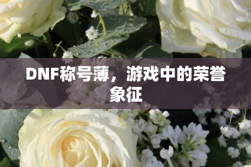 游戏中的荣誉象征图片