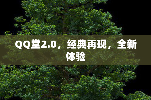 QQ堂2图片