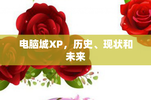 电脑城XP图片