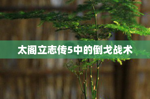 太阁立志传5中的倒戈战术图片