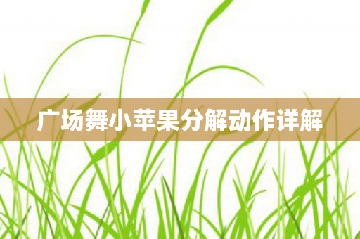广场舞小苹果分解动作详解图片