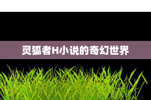 灵狐者H小说的奇幻世界图片