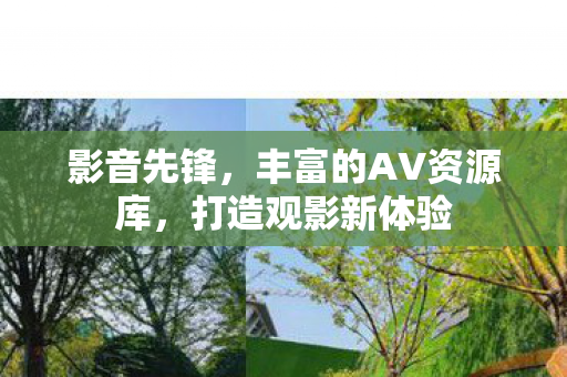丰富的AV资源库图片