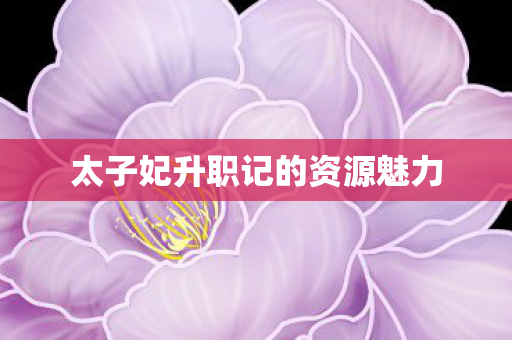 太子妃升职记的资源魅力图片