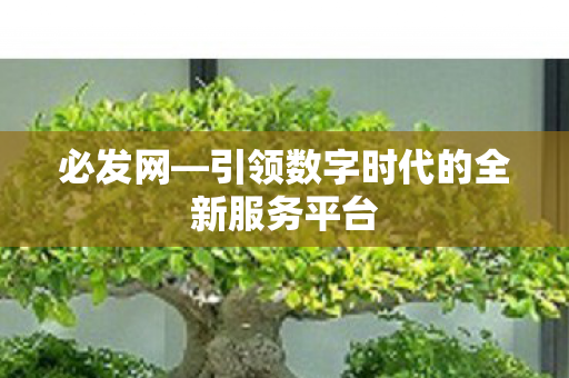 引领数字时代的全新服务平台图片