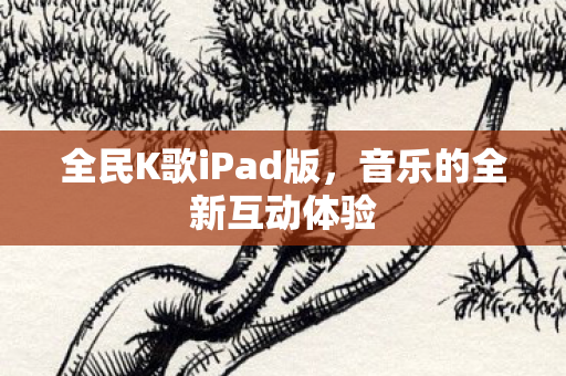 全民K歌iPad版图片