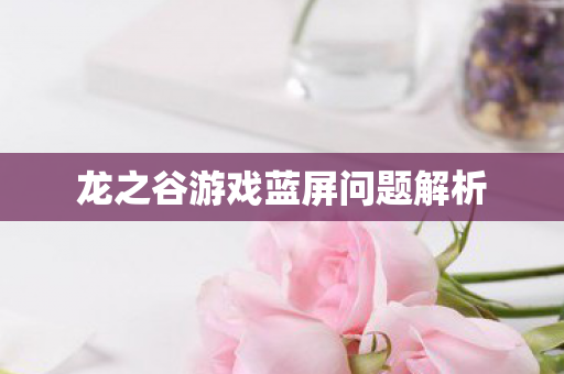龙之谷游戏蓝屏问题解析图片