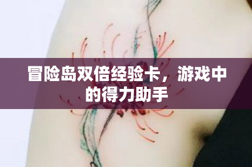 冒险岛双倍经验卡图片
