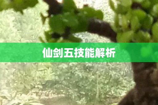 仙剑五技能解析图片