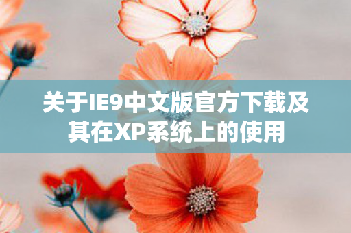 关于IE9中文版官方下载及其在XP系统上的使用图片
