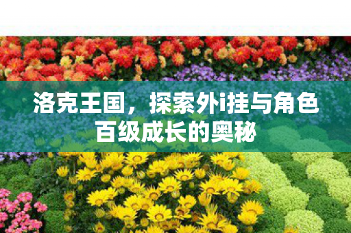 探索外i挂与角色百级成长的奥秘图片