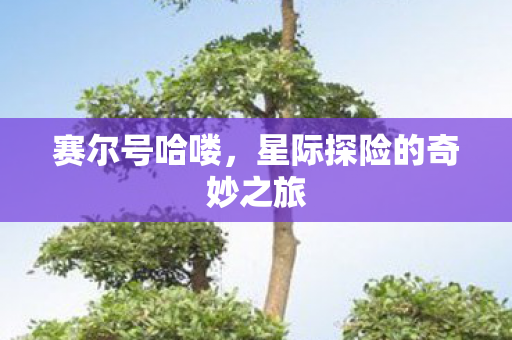 星际探险的奇妙之旅图片