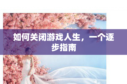 如何关闭游戏人生图片