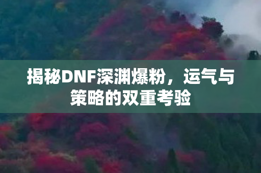 运气与策略的双重考验图片