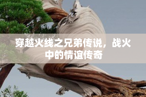 穿越火线之兄弟传说图片