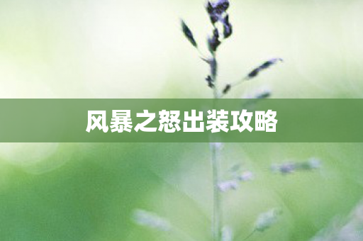 风暴之怒出装攻略图片