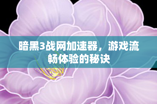 游戏流畅体验的秘诀图片