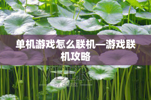 单机游戏怎么联机图片