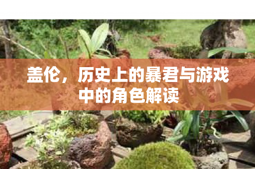 历史上的暴君与游戏中的角色解读图片