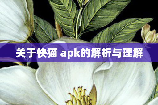 关于快猫 apk的解析与理解图片