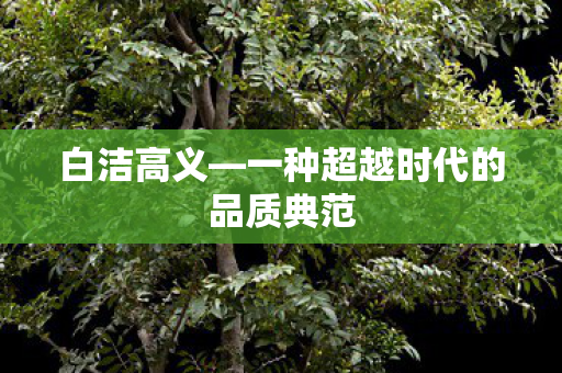 一种超越时代的品质典范图片