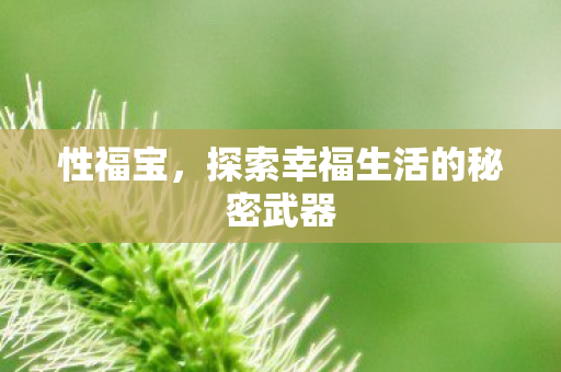 探索幸福生活的秘密武器图片