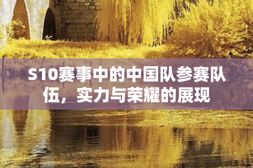 S10赛事中的中国队参赛队伍图片