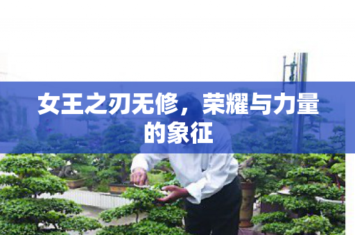 荣耀与力量的象征图片