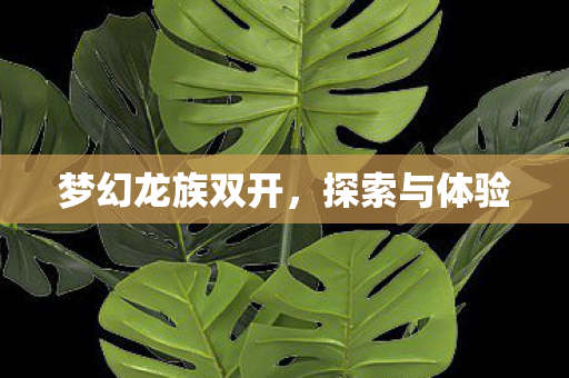 梦幻龙族双开图片