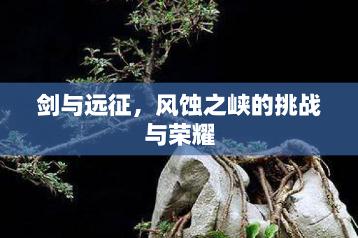 风蚀之峡的挑战与荣耀图片