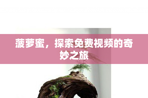 探索免费视频的奇妙之旅图片
