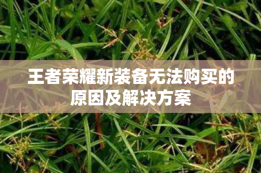 王者荣耀新装备无法购买的原因及解决方案图片
