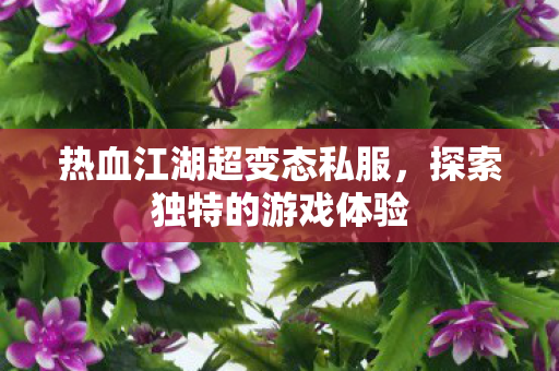 热血江湖超变态私服图片