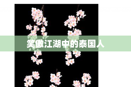 笑傲江湖中的泰国人图片