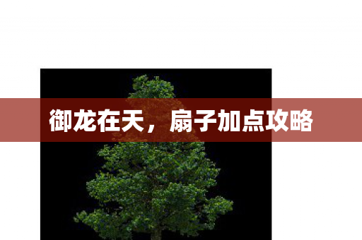 扇子加点攻略图片