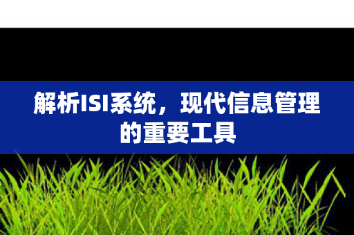 现代信息管理的重要工具图片