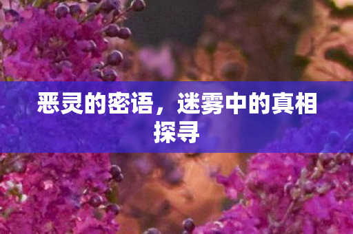迷雾中的真相探寻图片