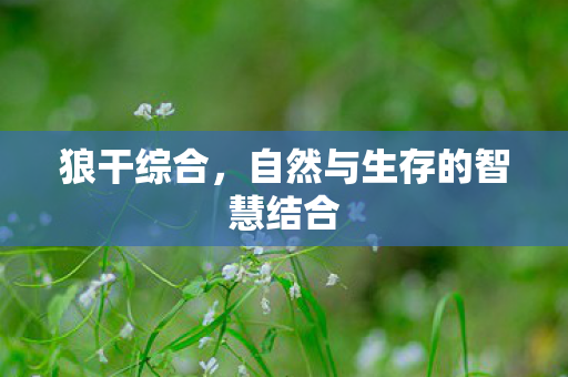 自然与生存的智慧结合图片