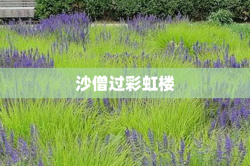 沙僧过彩虹楼图片