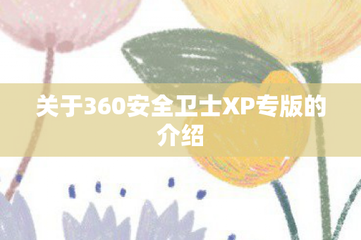 关于360安全卫士XP专版的介绍图片