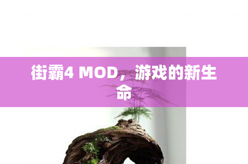 街霸4 MOD图片
