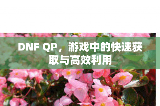 游戏中的快速获取与高效利用图片